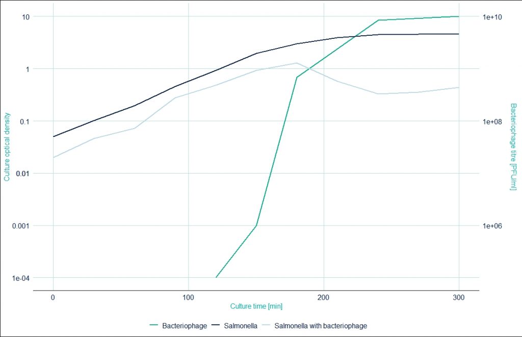 Salmonella phage graph