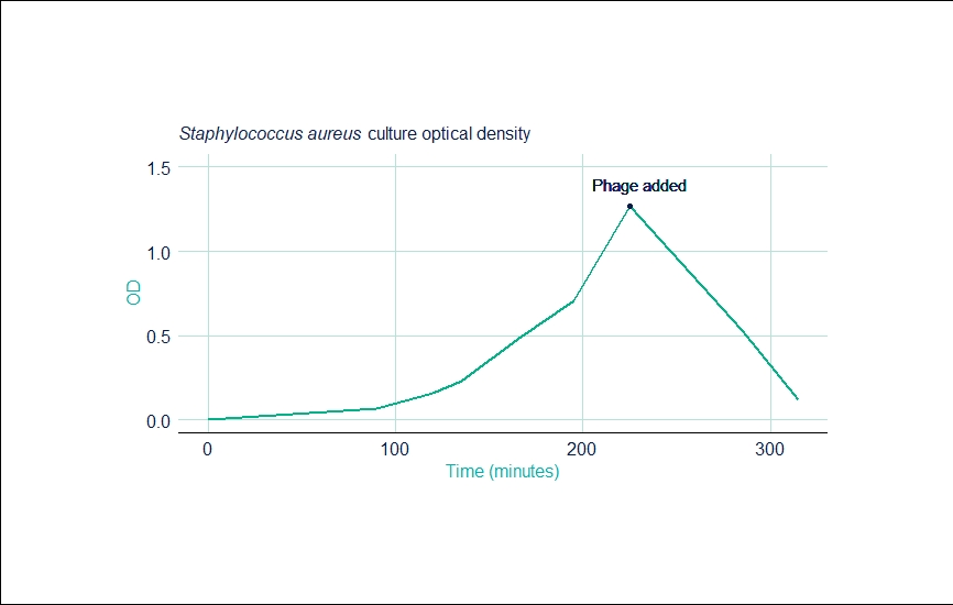 Staphylococcus graph
