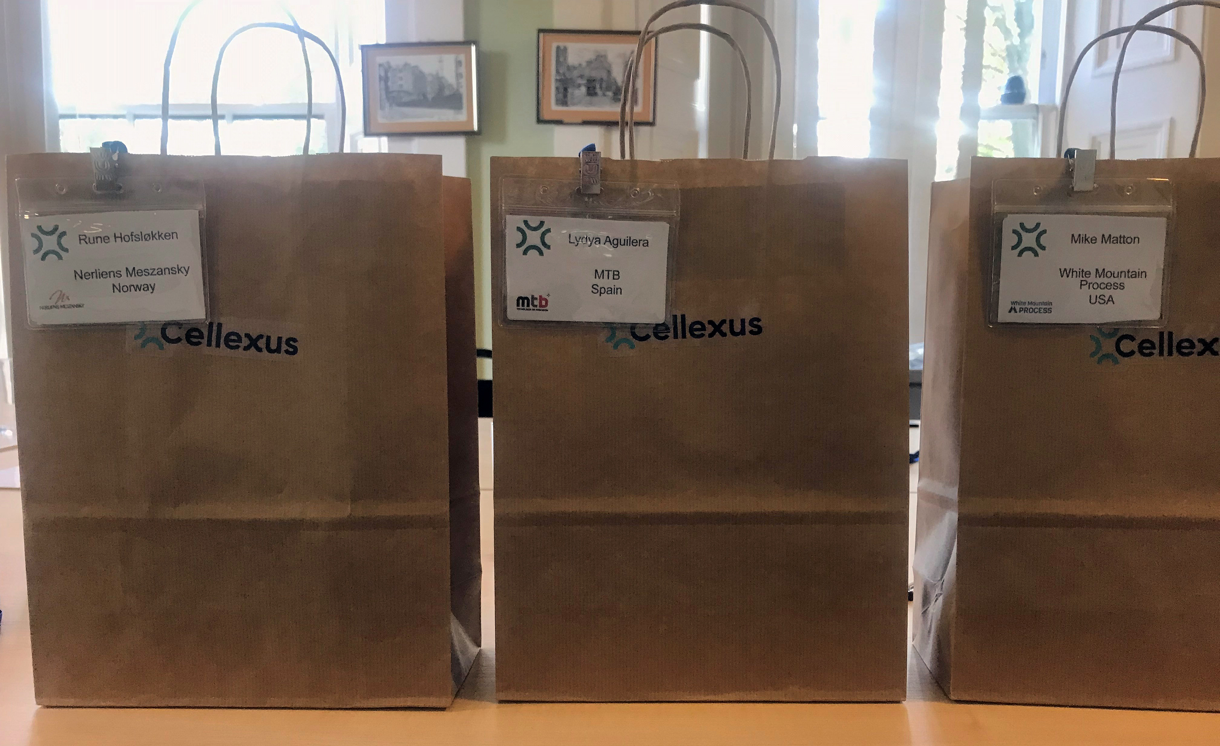 Distributor Day Gift Bags